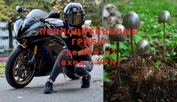 дмт Семилуки
